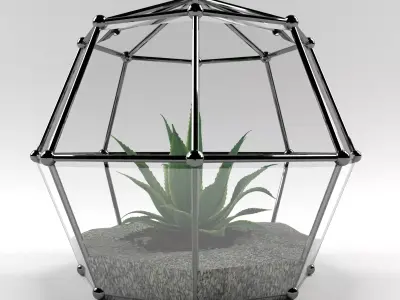 Florarium Decorate Free 3D model