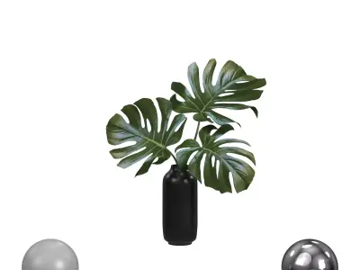 Monstera Leaves 3D model