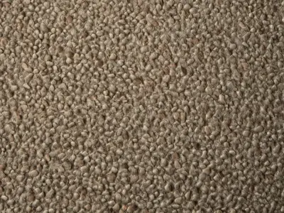 Pebbledash PBR Texture Texture