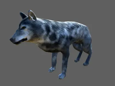 Wolf Animals Low-poly 3D model