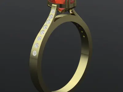 SP Rings 3D print model