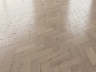 Parquet Oak Vergne Brushed set 5 3D model