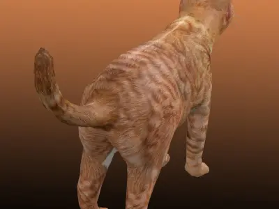 Orange Cat 3D model