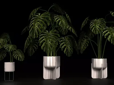 MONSTERA IN POT Low-poly 3D model