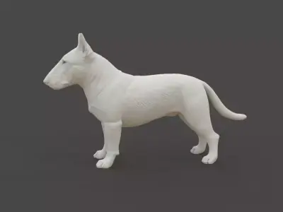 Bull Terrier 3D print model