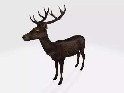 Deer 3d 3D model