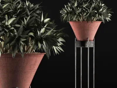 Plants Collection 49 3D model