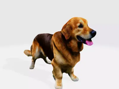 Realistic Golden Retriever 3D Model - Ready for Printing Low-poly 3D model
