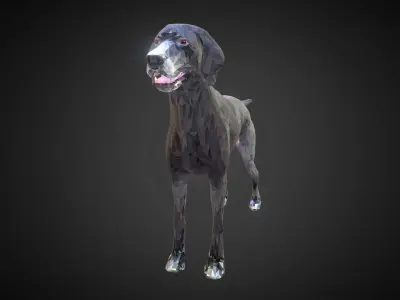 Dog Kurtshaar Grey Low Polygon Art Animal Low-poly 3D model