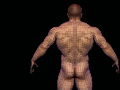 BODYBUILDER BSE MESH  Low-poly 3D model