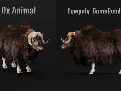 Musk Ox Animal Hoofed Mammal Low-poly 3D model