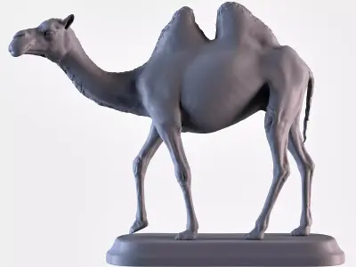 Camel 3D print model
