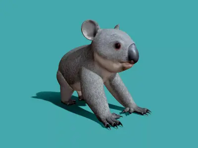 Koala Rigged 3D model