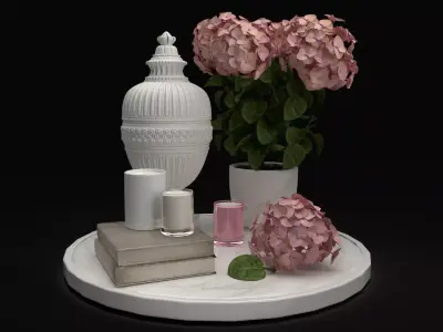 Hydrangea and candles set 3D model