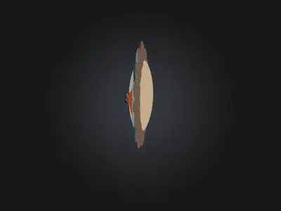 Cartoon Rug 3D model