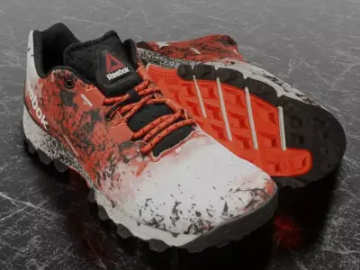 REEBOK 3D SHOES - H20DRAIN Low-poly 3D model