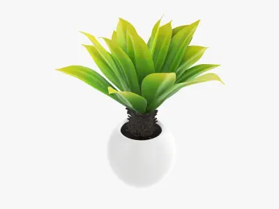 Potted palm decorative 01 3D model