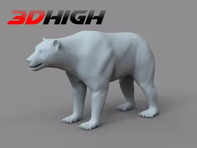 Bear Base Mesh 3D model
