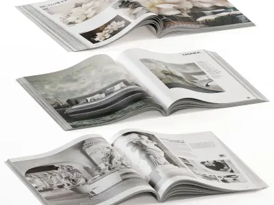 magazines opened 3D model