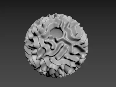 Coral Vase 3D print model