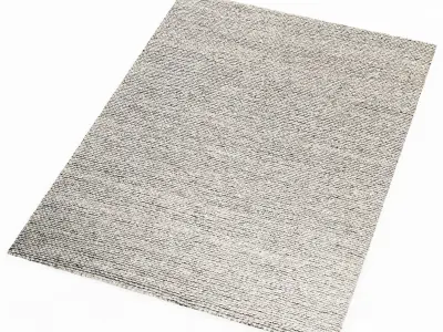 BoConcept Northern rug 3D model