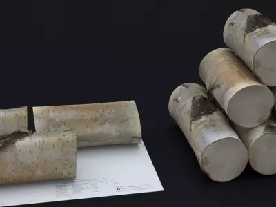 WINTER WOOD LOG 2024 3D model