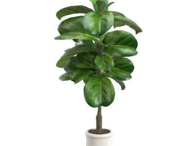 Inch Fiddle Leaf Artificial Tree In White Ceramic Planter PBR 3D model