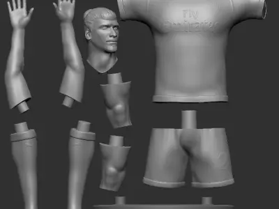 Ibrahimovic 3D Printable 2 3D print model