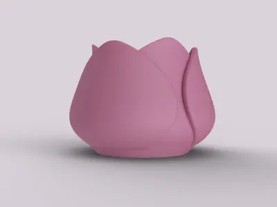 Decorative Tulip Succulent 3D print model