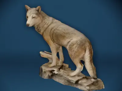 Big Grey Wolf Standing On Rocks Figure Low-poly 3D model