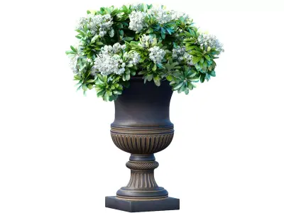 Bouquet of white flowers in a classic black vase for decoration 3D model