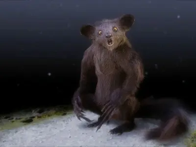Aye Aye werewolf 3D model