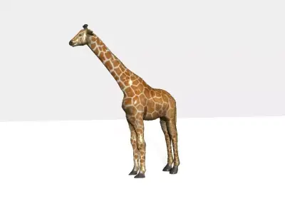giraffee giraffe Low-poly 3D model
