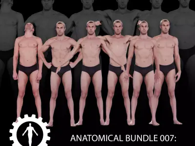 6 Male Standing Poses Anatomical Reference Bundle 007 3D model