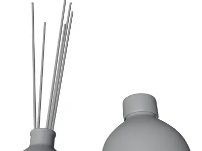 Air reed diffuser HG2 3D model