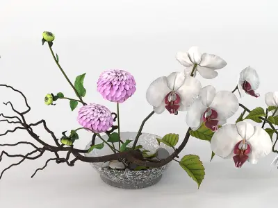 Orchid Flower Ikebana 3D model