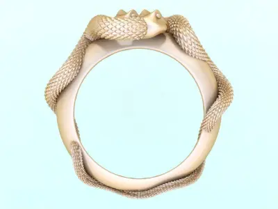 Snake ring - N843 3D print model