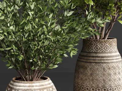 Indoor plant collection 22 3D model