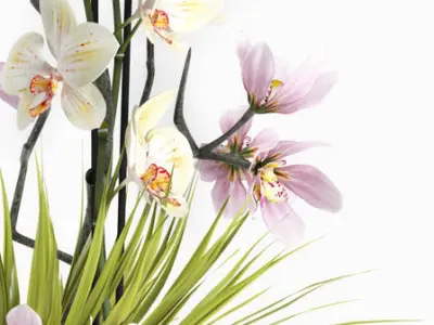 Flower set 21 3D model