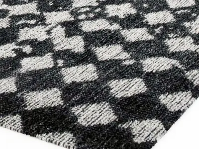 Baxter SCARLET POIS CARPET 3D model