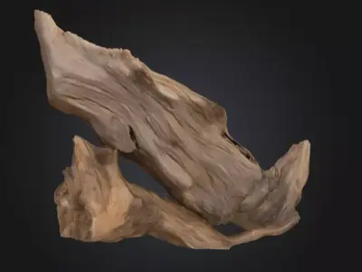 Desolate Driftwood Low-poly 3D model