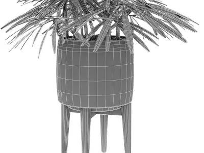 Plant in Pot Flowerpot Exotic Plant 3D model get