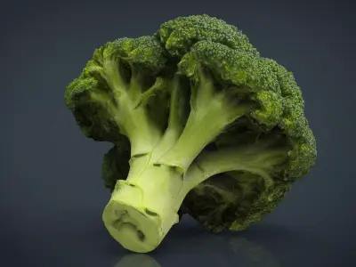 Broccoli   High and Low Poly blend 4 4 Included Low-poly 3D model