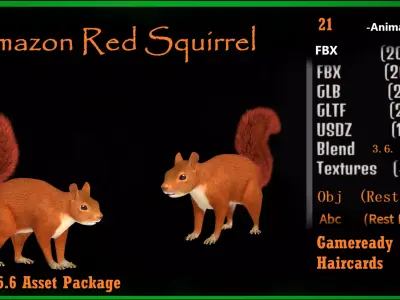 Amazon Red Squirrel Rodent Low-poly 3D model