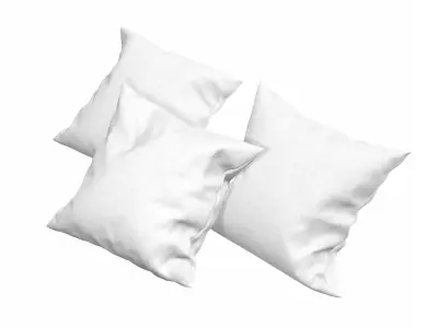 Solid Pillows - set of 3 3D model
