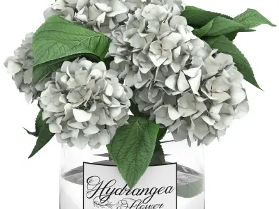 glass vase of white hydrangea flowers 3D model