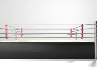 Ring Arena - 4 sided 3D model