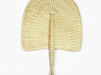 African Handwoven Fan 17 3D model