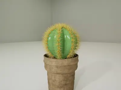 Cactus Plant in a wooden Pt 3D model 3D model