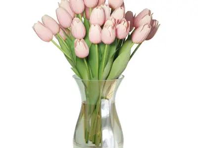 Flower Set 18 - Pink Tulips Bouquet 3D model